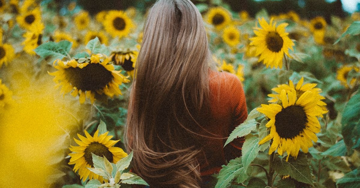 Nie wieder Haarbruch: So bleibt langes Haar stark, glänzend und gesund